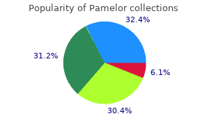 buy pamelor visa